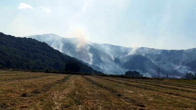κοζάνη, ειδήσεις, νέα, Πτολεμαΐδα