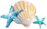 seashell-gltr