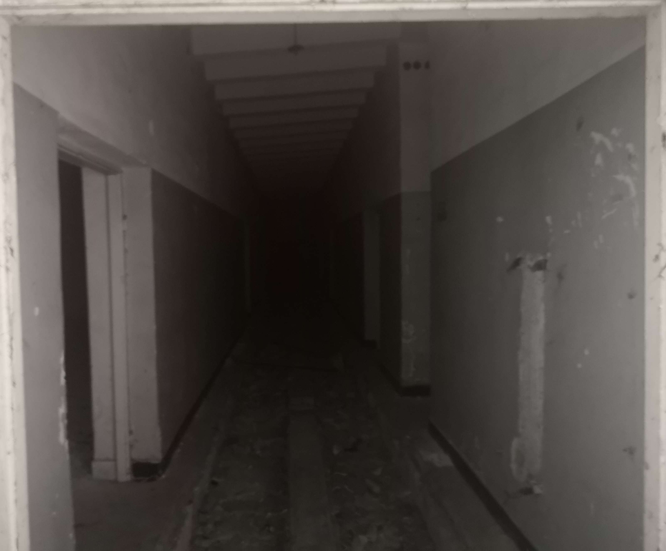 Backrooom-bueno-quiza.png