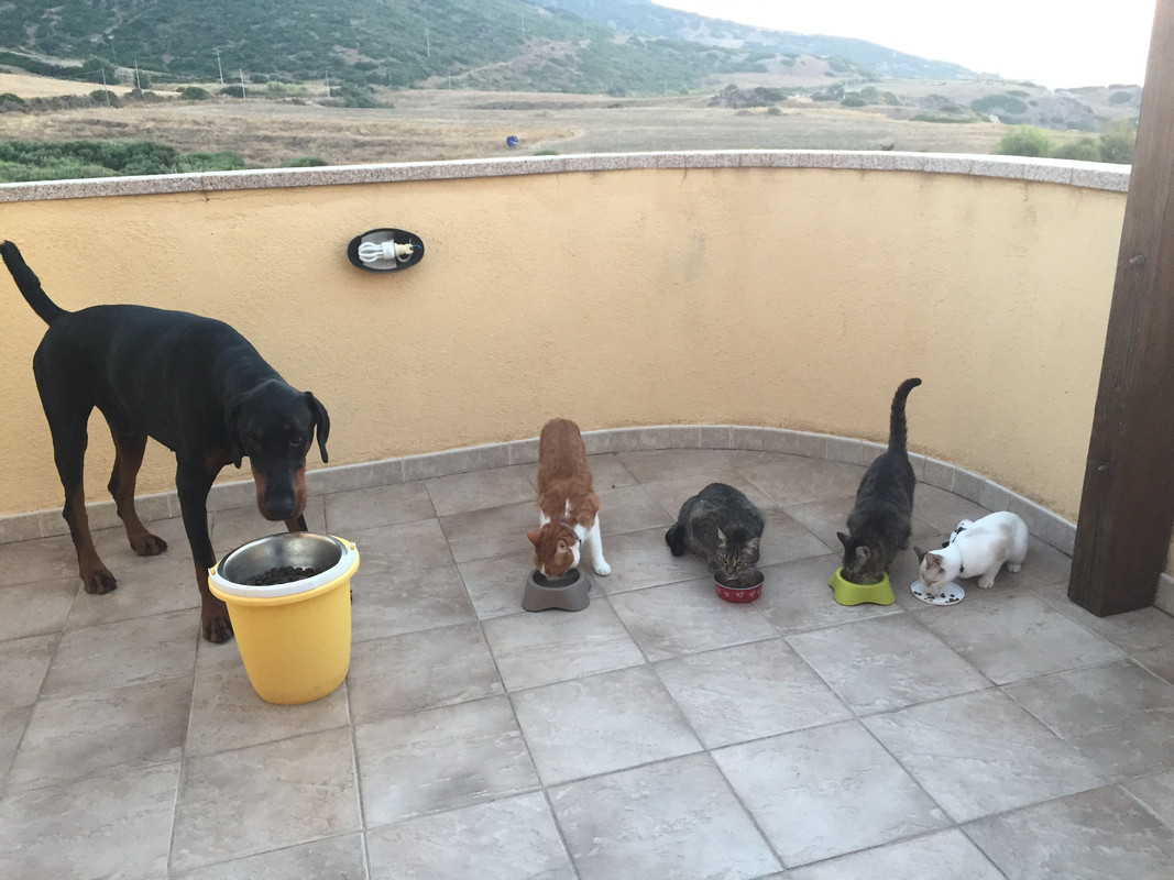 FD3D6378-6DE3-45B2-99DA-849071964392