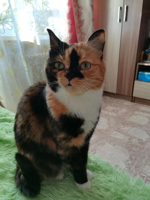 ^A562E0B6CF5706C8ABC75B2FB58652880C758D4757BEE123D4^pimgpsh_full