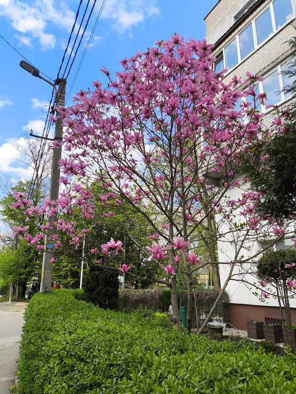 20 апреля 2025 014