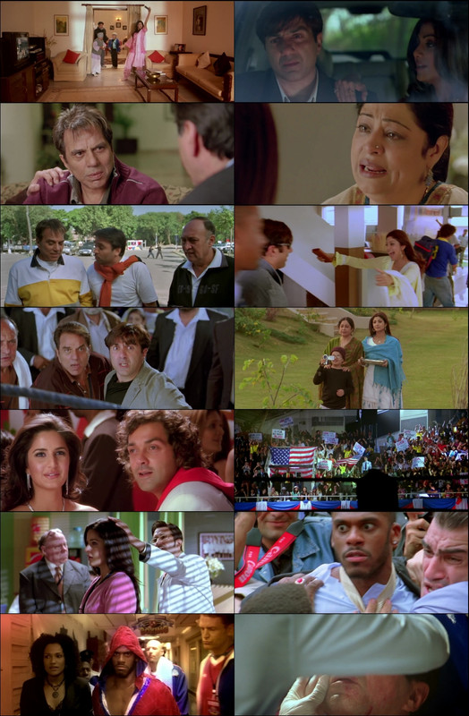 Apne (2007) 1080p | 720p | 480p WebRip [Hindi (हिन्दी)] DD5.1 ESub