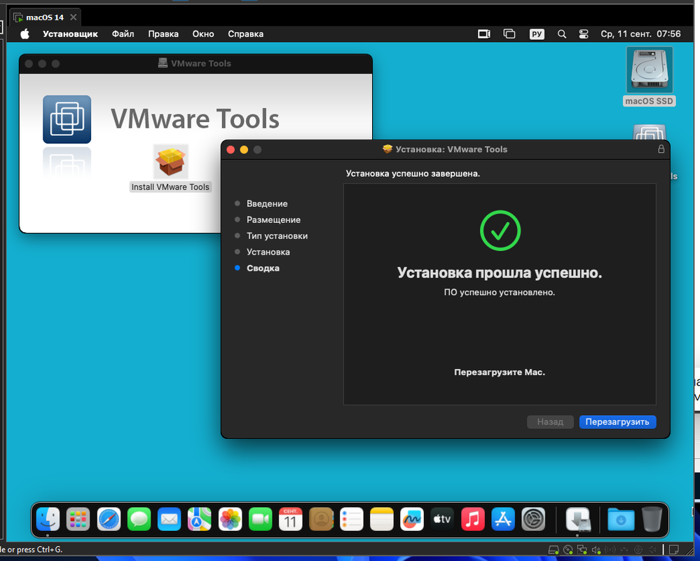 Снимок экрана 2024-09-11 075620
