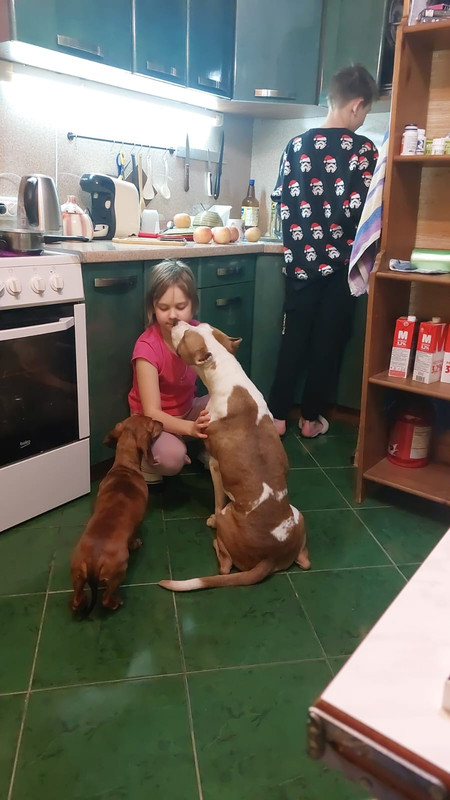 D20D3741-9A5E-47F1-A27C-753BA39F0502