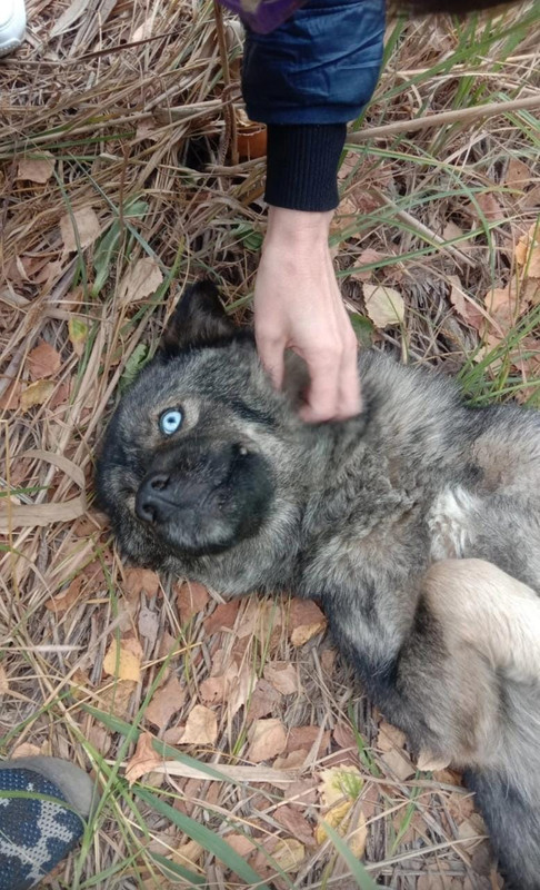 WhatsApp Image 2022-09-03 at 15.03.00 (2)