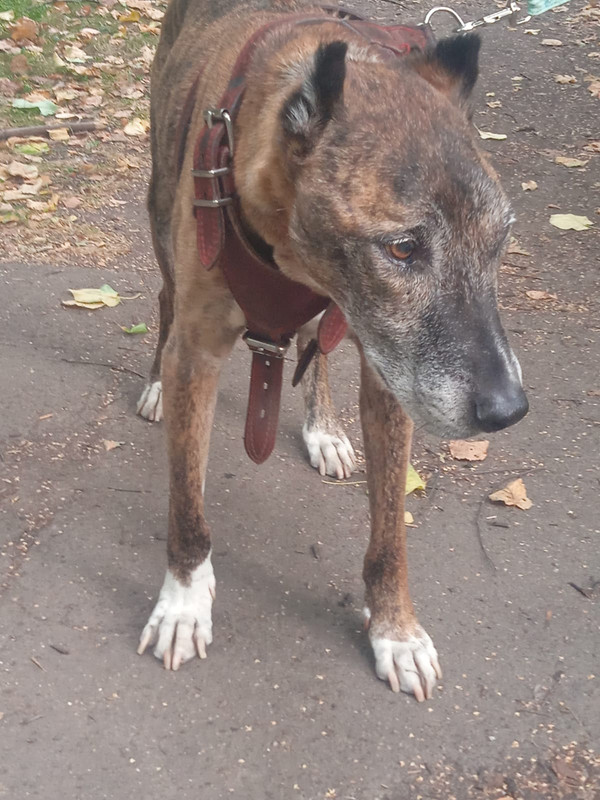 A7118C50-B5C0-490C-8671-092A35D2C03F