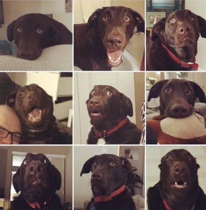 thumbs-EMOK-Picdump-707-001.jpg
