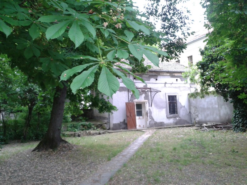 Slika