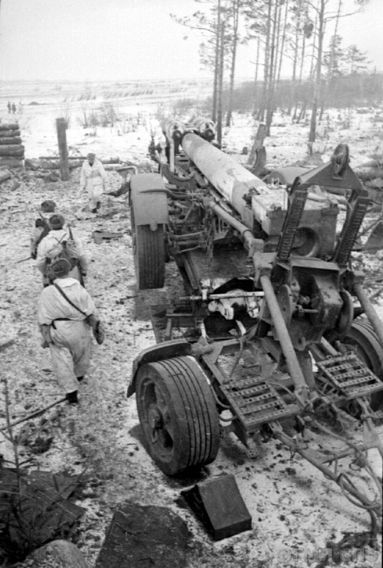 Тяжелое немецкое орудие подбитое артиллерией КБФ в р-не Низино (1)