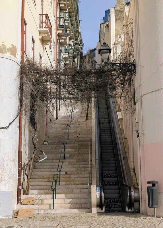 PXL 20260303 155336173 MP 2