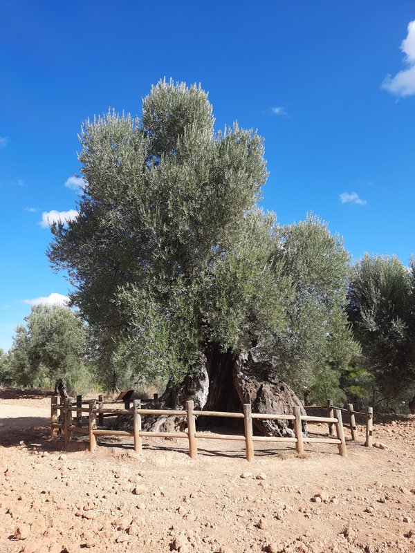 Día 4. Horta de Sant Joan y final de viaje - Comarca del Matarraña: escapada de 4 días. (5)