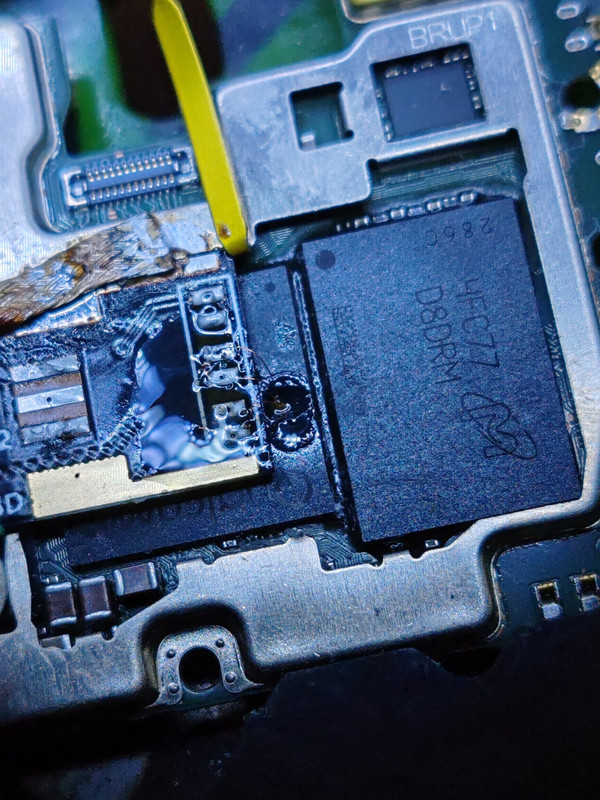 photo 2026 02 05 13 00 37