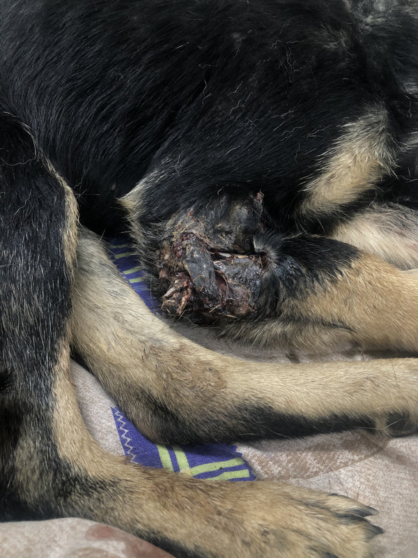 20C3FA5F-6F9E-4146-93B4-FC37A66EB9B5