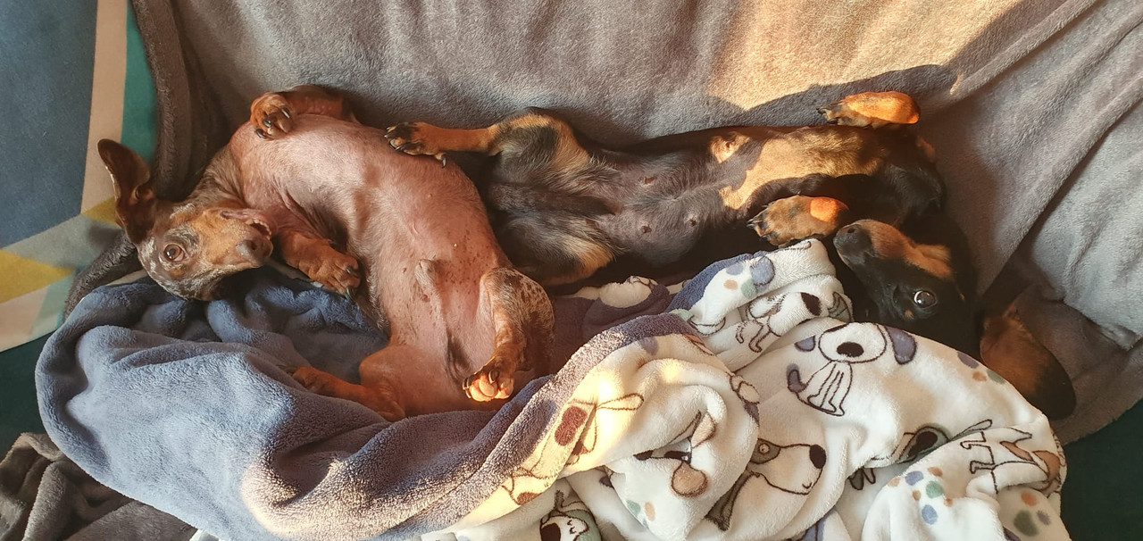 [Image: IMG-20230615-WA0002.jpg]