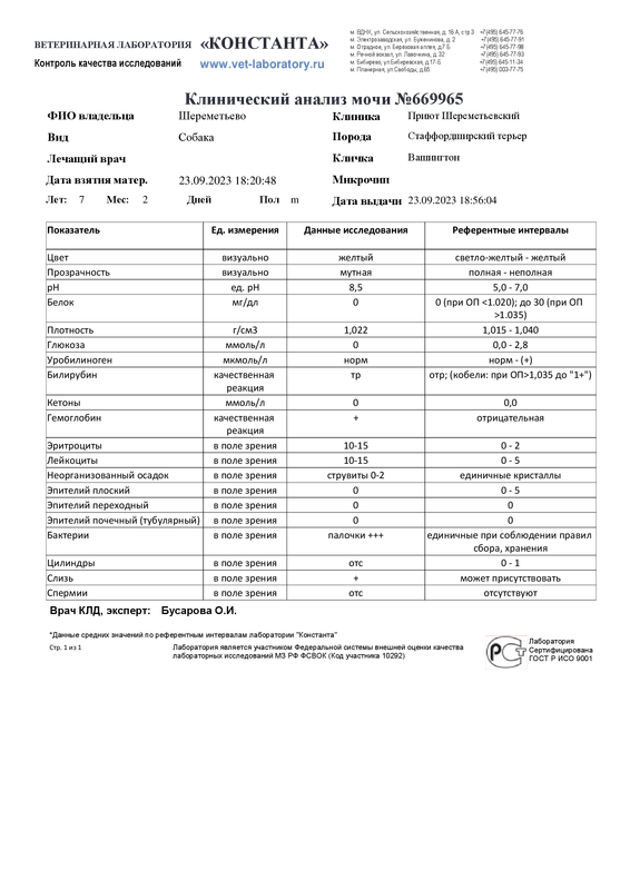 Клинический анализ мочи (669965)