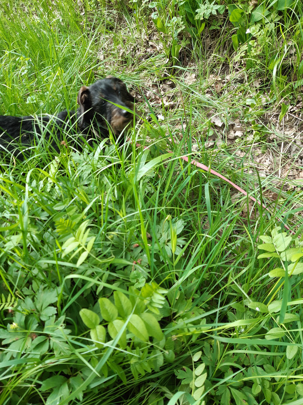 [Image: 20230425-163755.jpg]