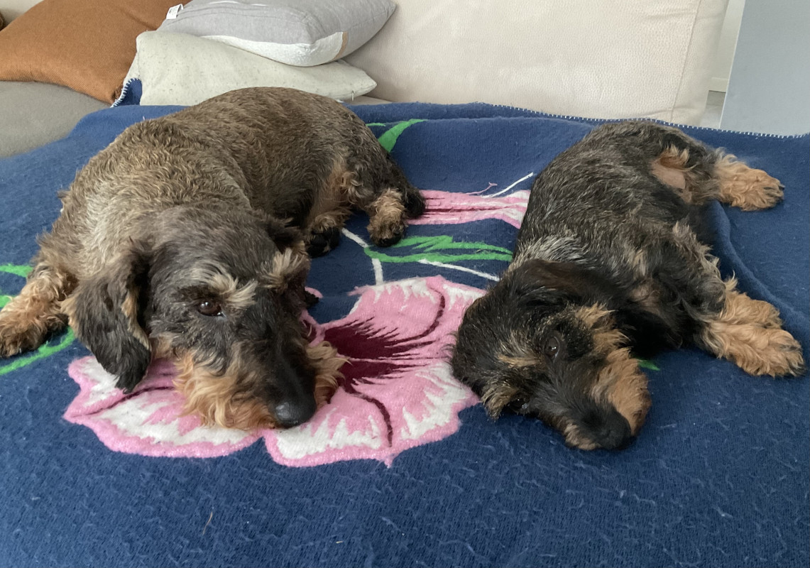 [Image: IMG-0360.jpg]