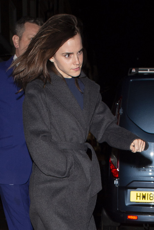 emmawatson-updates.com (20)