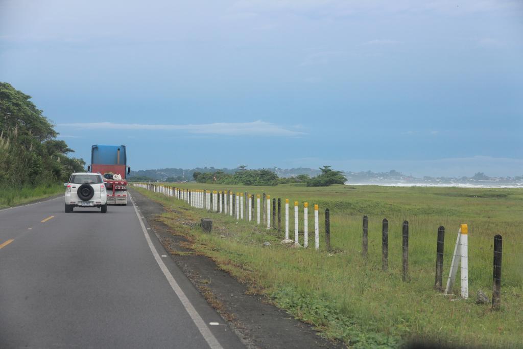 DIA 4: PRIMER DÍA EN PUERTO VIEJO - DE TORTUGAS Y PEREZOSOS. COSTA RICA 2019 (10)