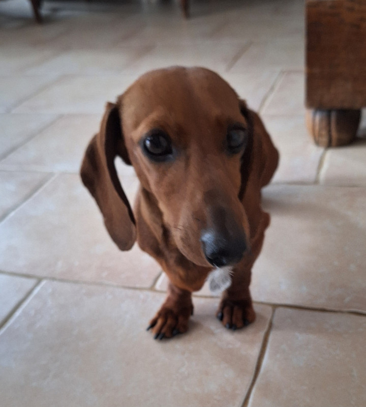 [Image: 20240419-154842.jpg]