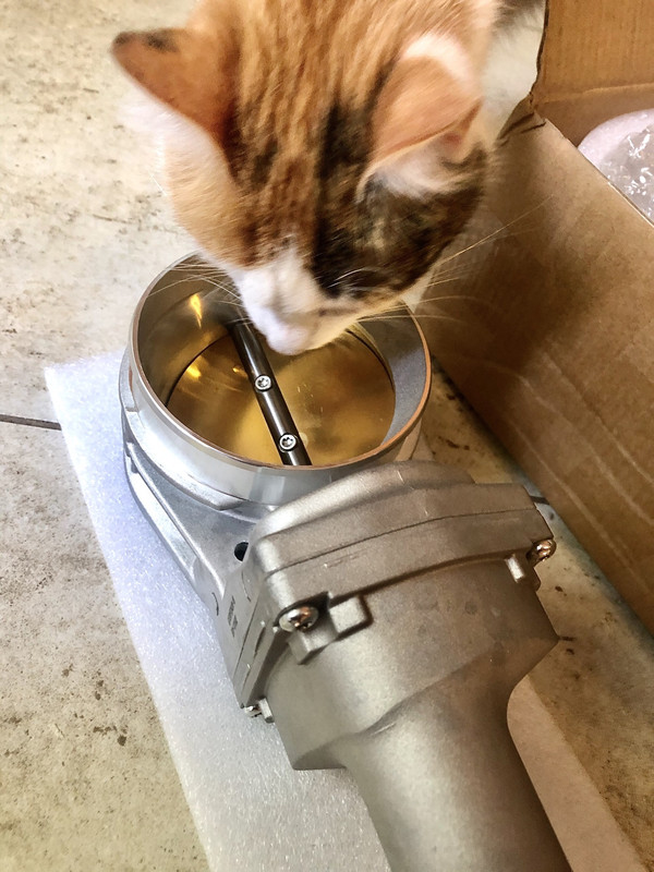 69CA8B4A-5F67-446E-93C0-33EE6B6D95F6