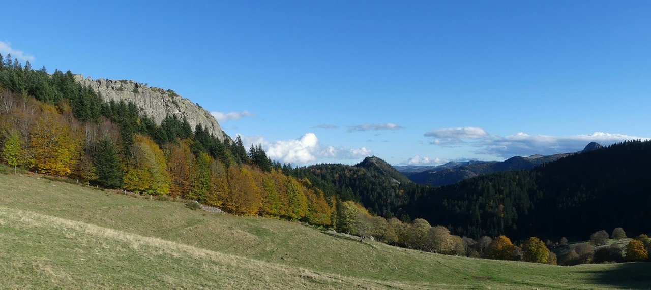 P1090316.jpg