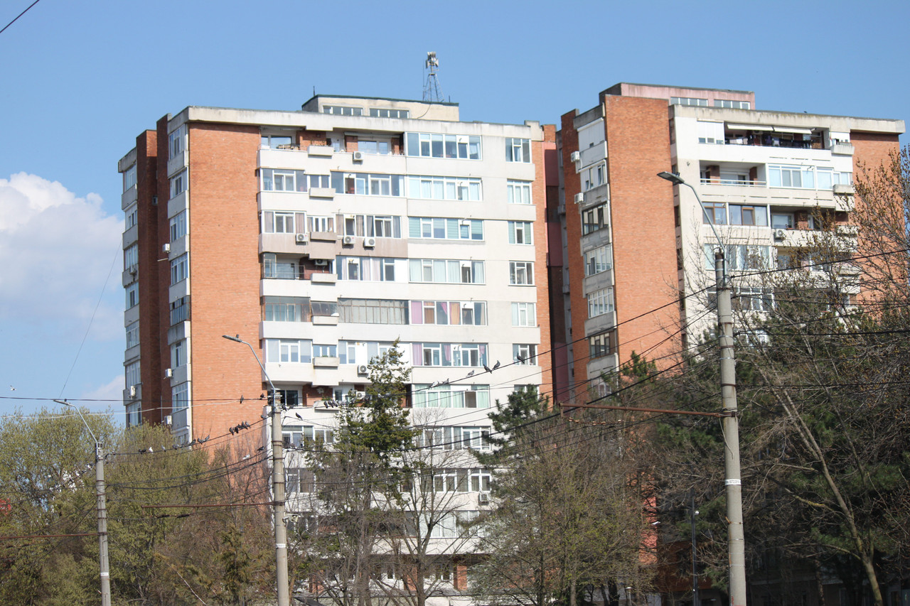 IMG 0857
