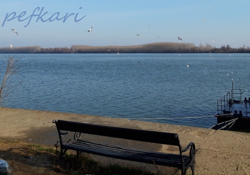 Slika