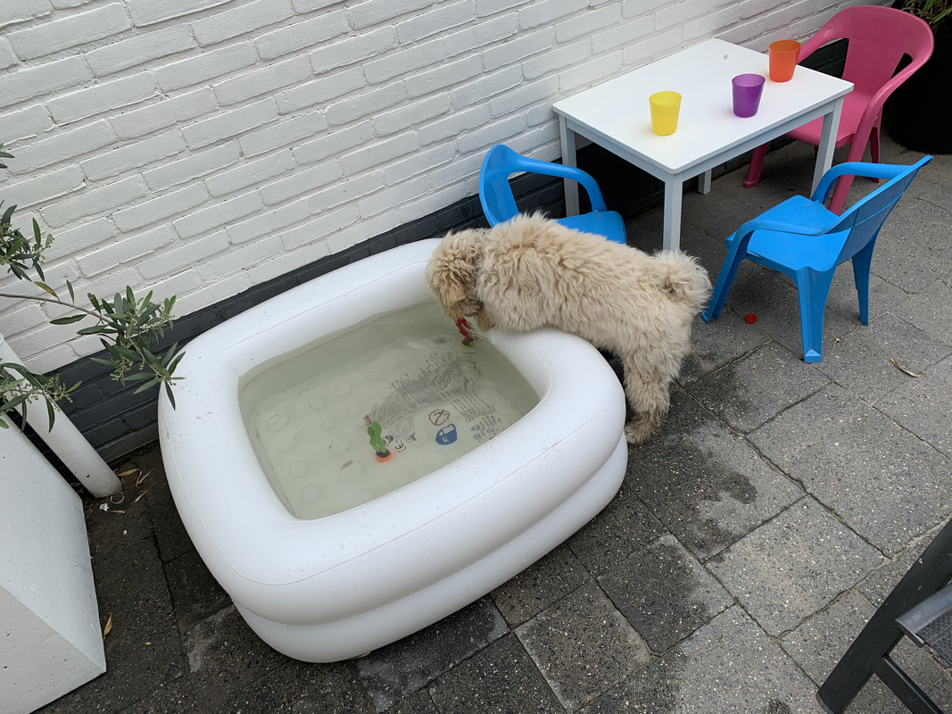 7B51CAC6-B484-4738-9F4A-BF90F1A8F3CF