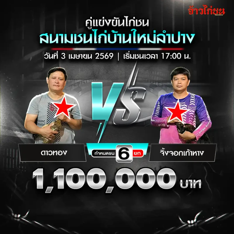 โปรแกรมไก่ชน บ้านใหม่ลำปาง ดาวทอง พบ จิ้งจอกเก้าหาง