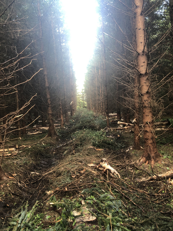 FE7721BA-CBF6-4C11-B364-C1CFDB7528C0