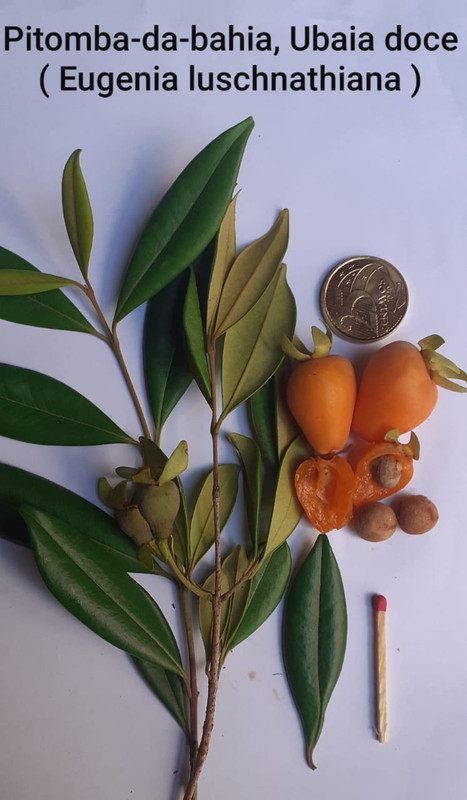 WhatsApp Image 2020-12-17 at 19.30.33 (1)