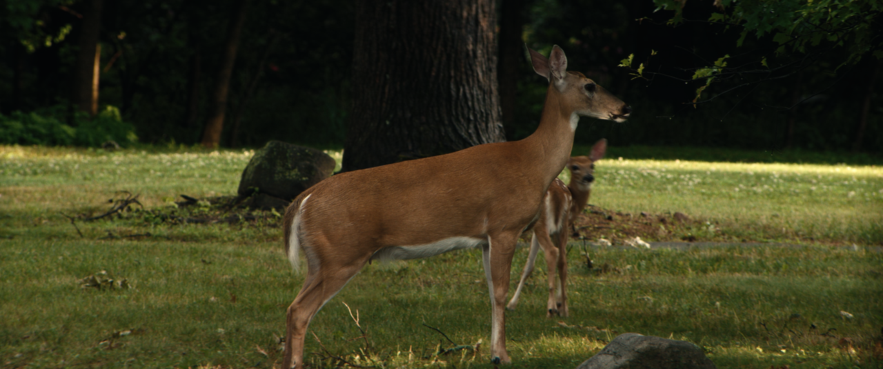 mpv-shot_Echo.Valley.2025.2160p.UHD.ATVP.Web-DL.SDR.HEVC-Нечипорук_01_02_35_0009