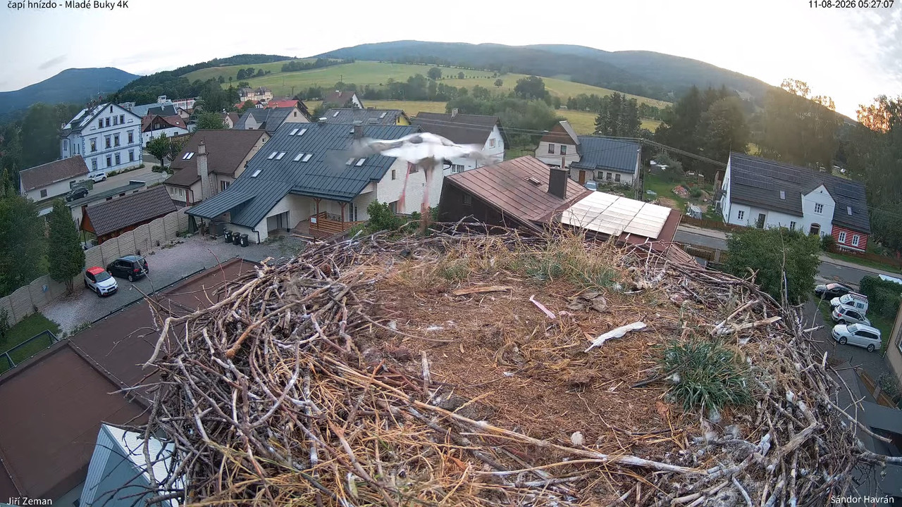 Živá kamera Mladé Buky čapí hnízdo 4K 3 17 21 screenshot (1)