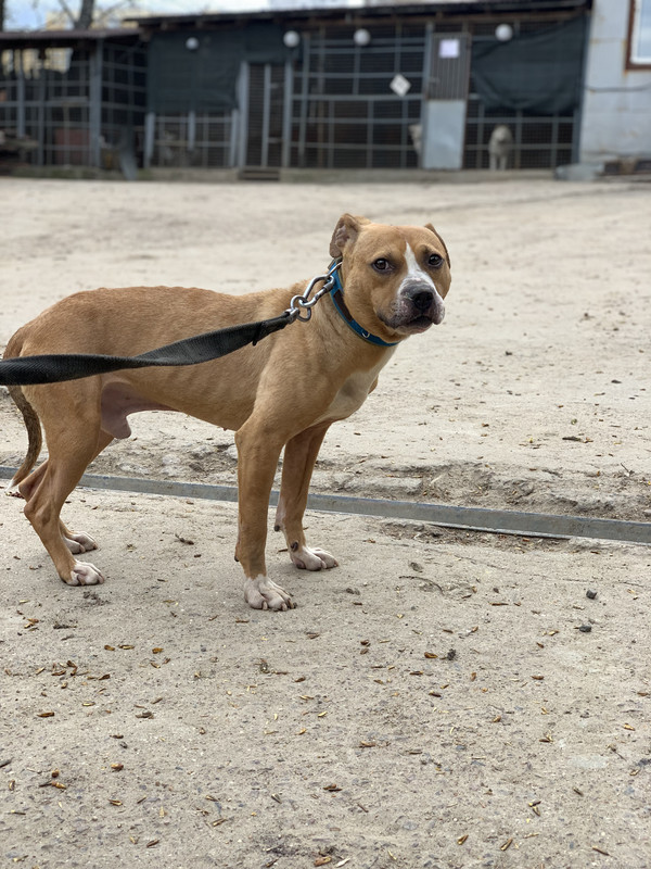 1311120D-C104-4E18-86EE-DC1CB517E69C