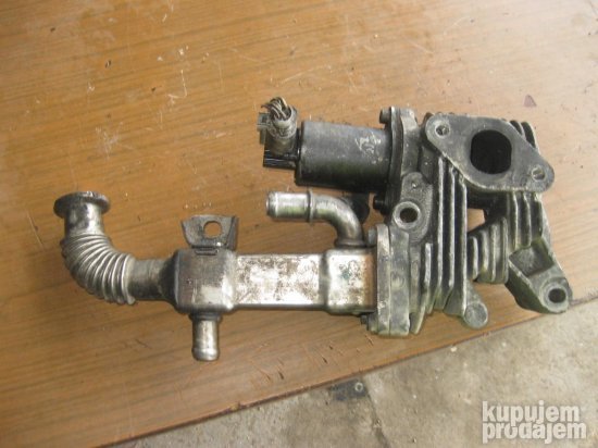 big 135479545 6252842e0665b8 07756771IMG 6551