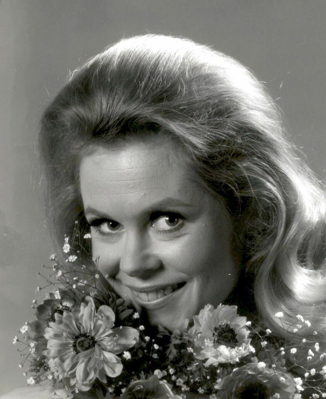 elizabeth montogomery d31