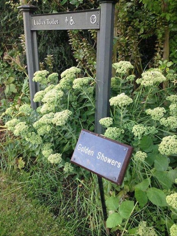 absurd-funny-signs-58-652e4ca46cf8f-700.jpg