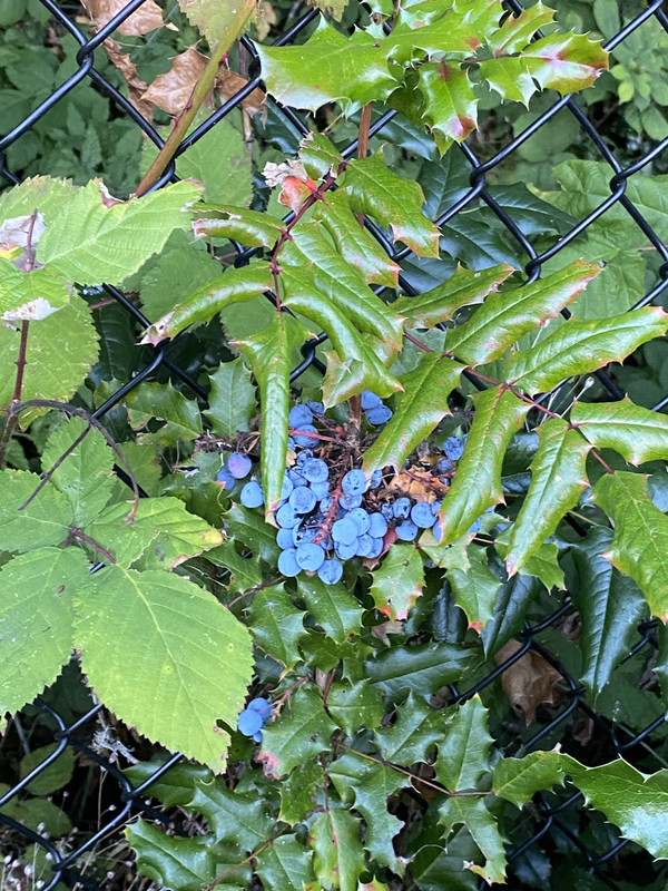 EDA30E98-86AD-4A3C-B545-B6D21595EEB0