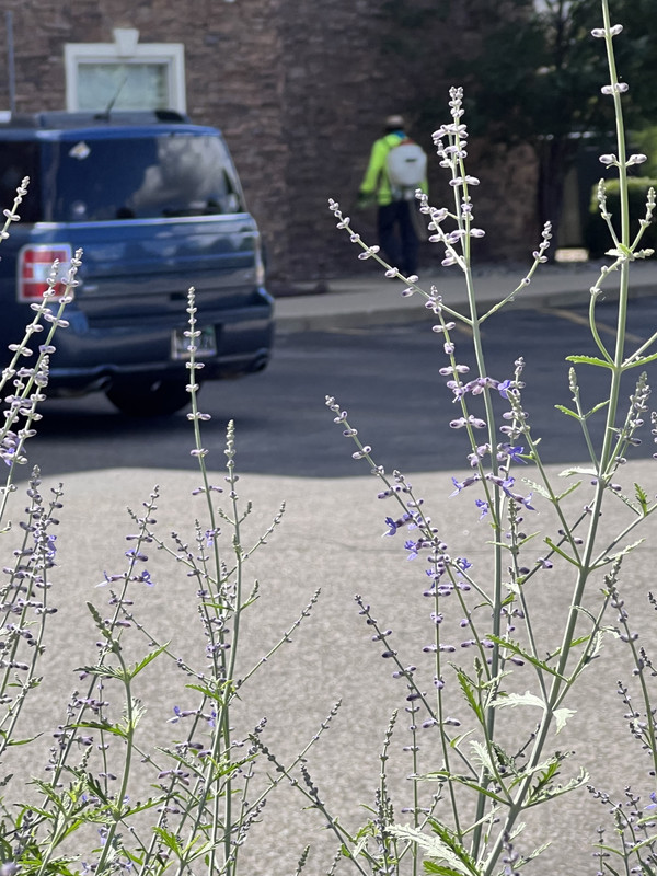 B87F5876-27D2-4A14-B8E9-822AE753964F