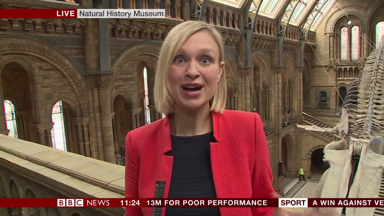 BBC Newsroom Live_20170713_11001130.ts_snapshot_