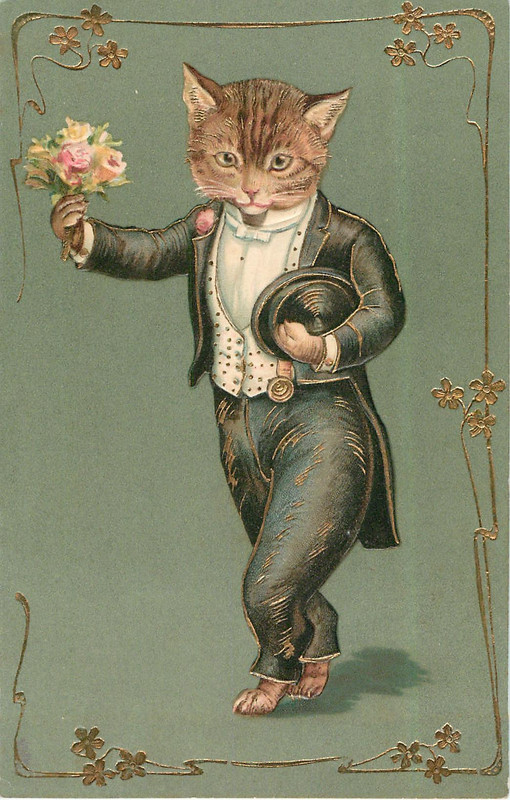 t-(2)
