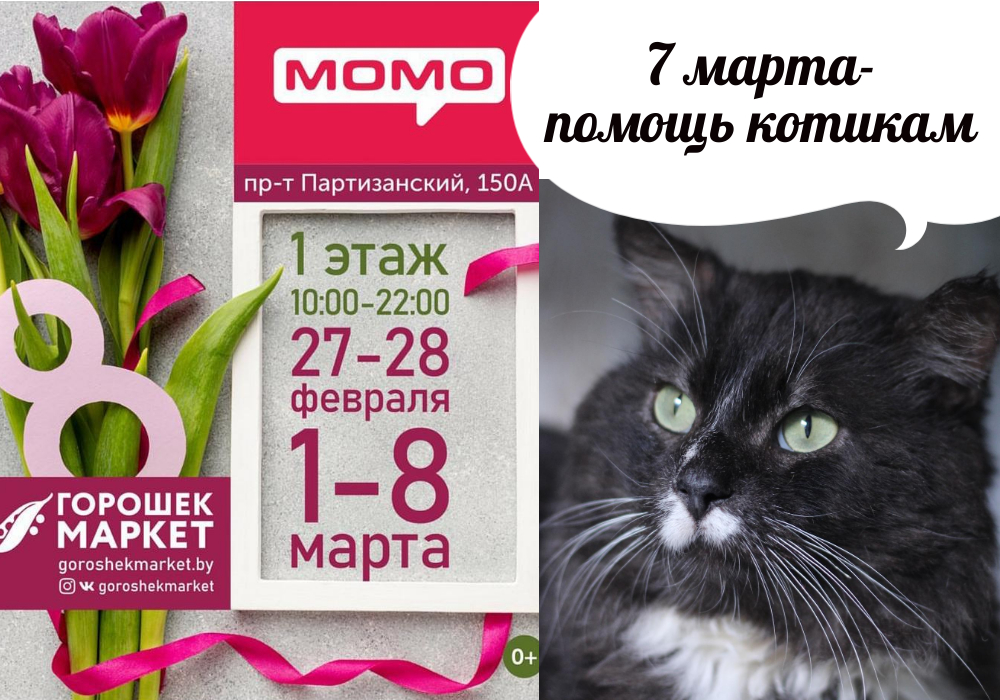 Универсальная запись ВКонтакте 1000x700  пикс (16)