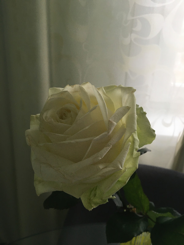 C6147C7D-AD36-4732-9E1D-05FF4EB44D43