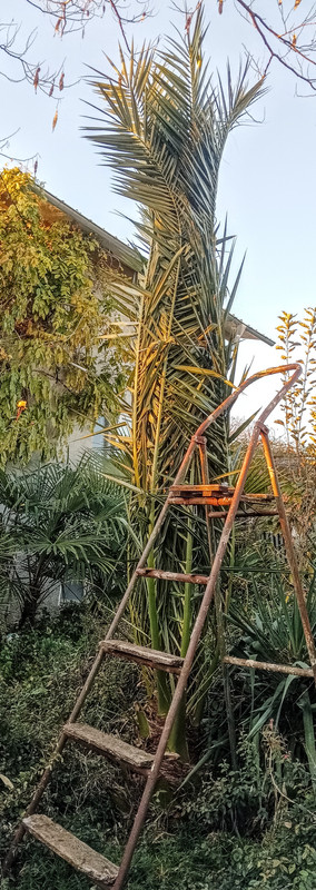 IMG 20251219 160705 2