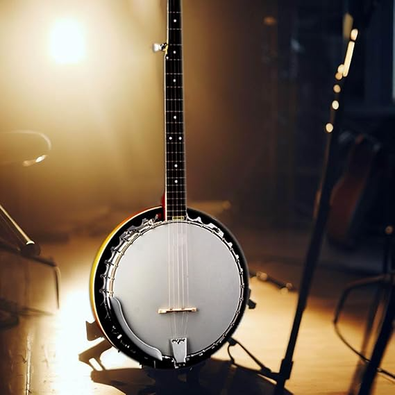5 String Banjo