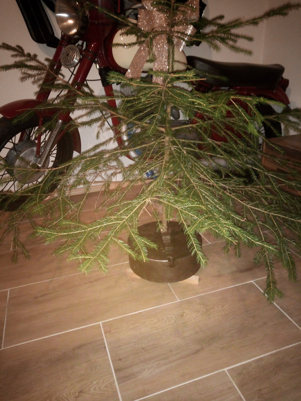 IMG_20241220_185604730