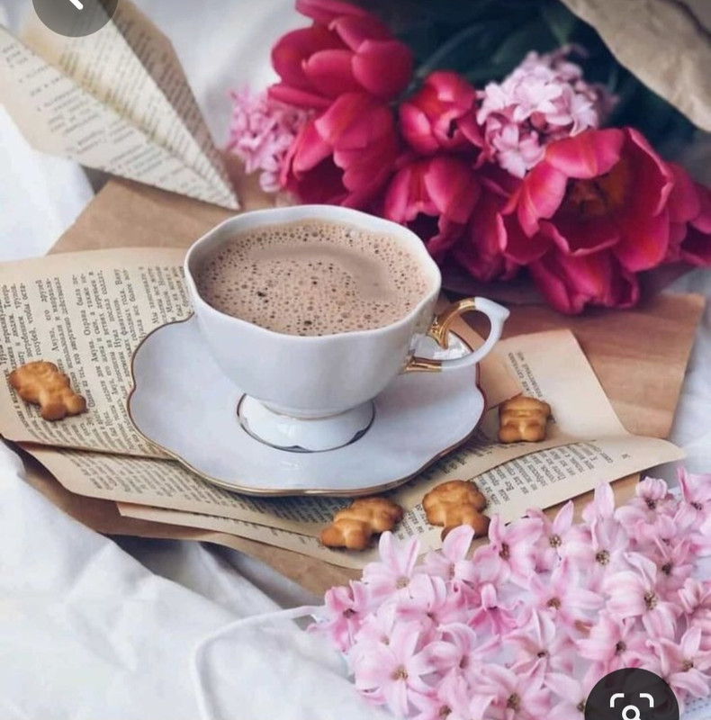 Screenshot_20230315_232026_Pinterest