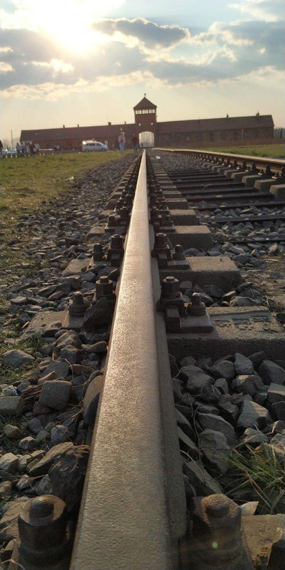 photo_2019-04-11_17-31-34